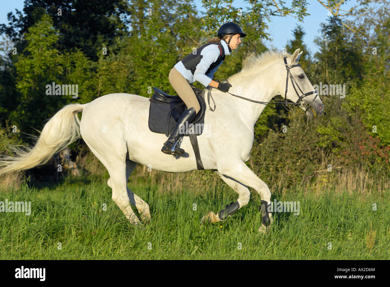 protector riding hat