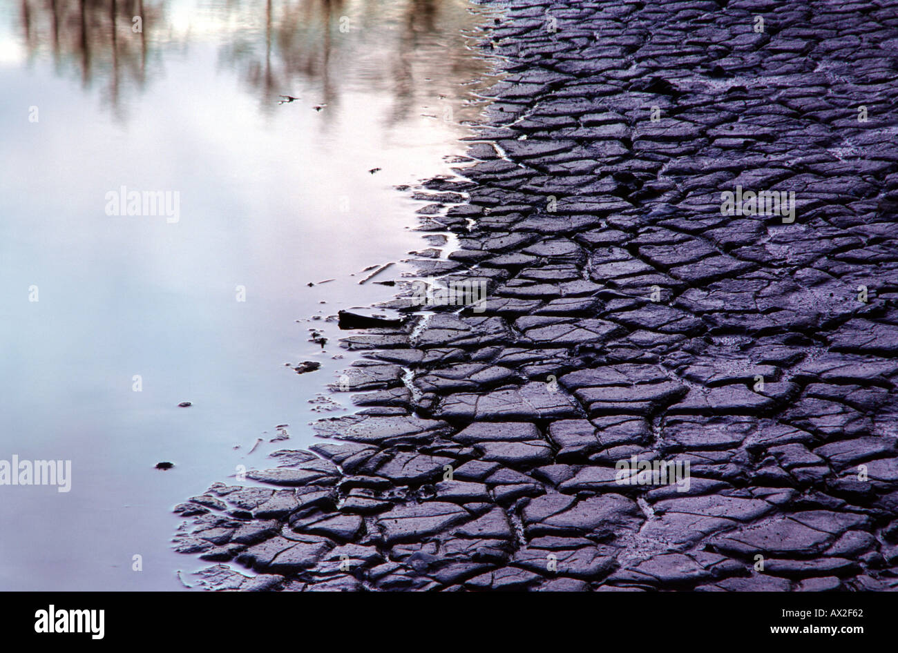 Cracked mud at Pentwyn reservoir South Wales UK Stock Photo