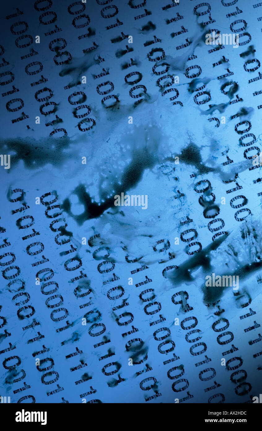 binary data Stock Photo