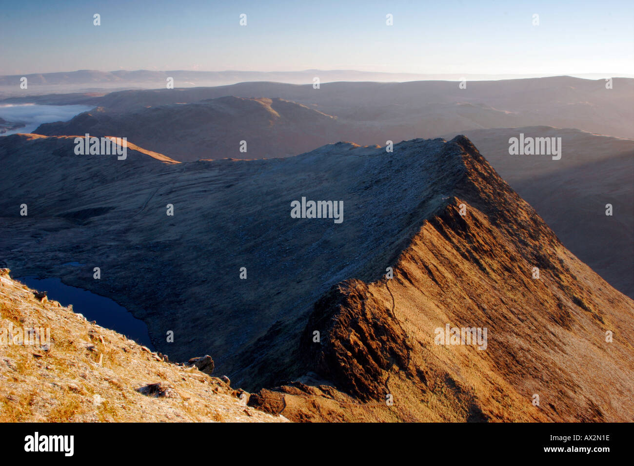Stridden Edge Ridge The Ridge of Striding Edge in Morning Light Helvellyn Lake District ...
