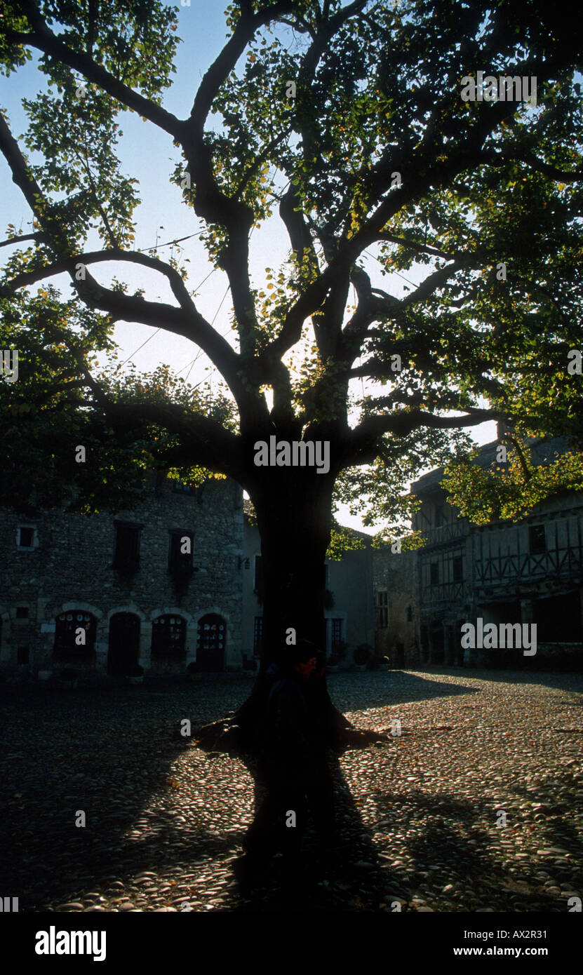 Liberty Tree, Perouges, Rhone-Alpes, France, Europe Stock Photo - Alamy