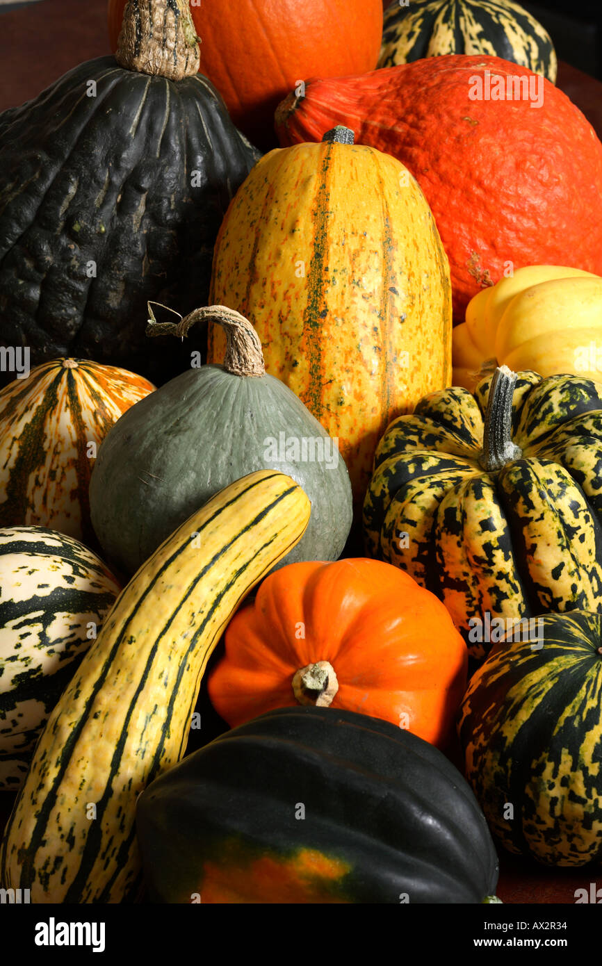 Varieties of squash Stock Photo Alamy