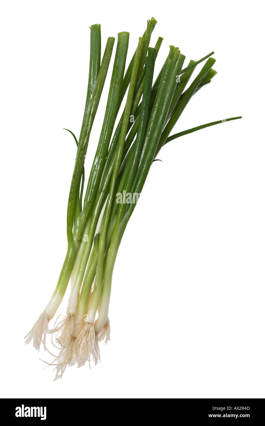 Backdrop onions Cut Out Stock Images & Pictures - Alamy