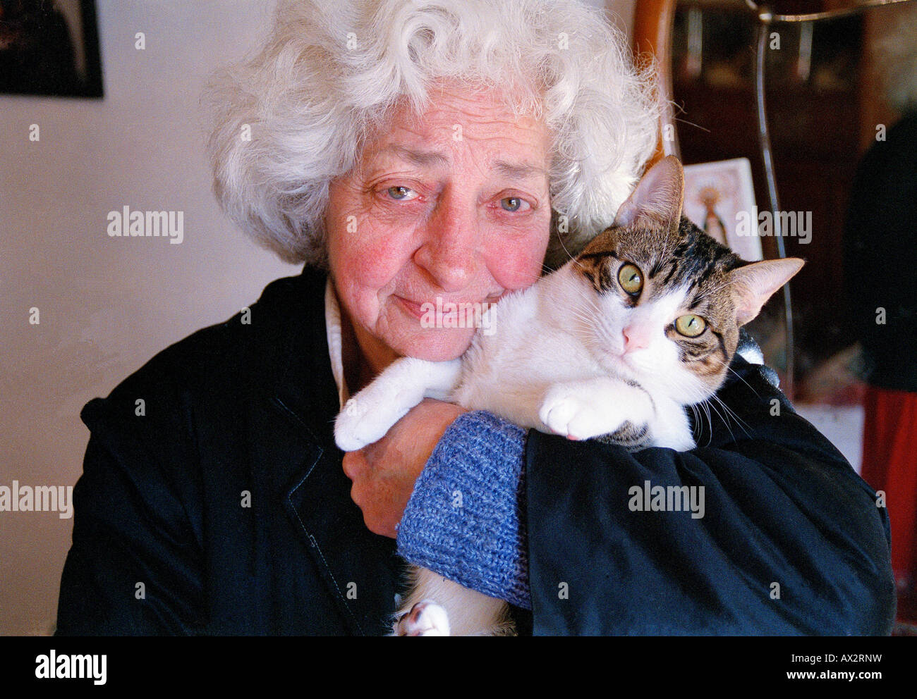 Elderly lady cat hi-res stock photography and images - Alamy