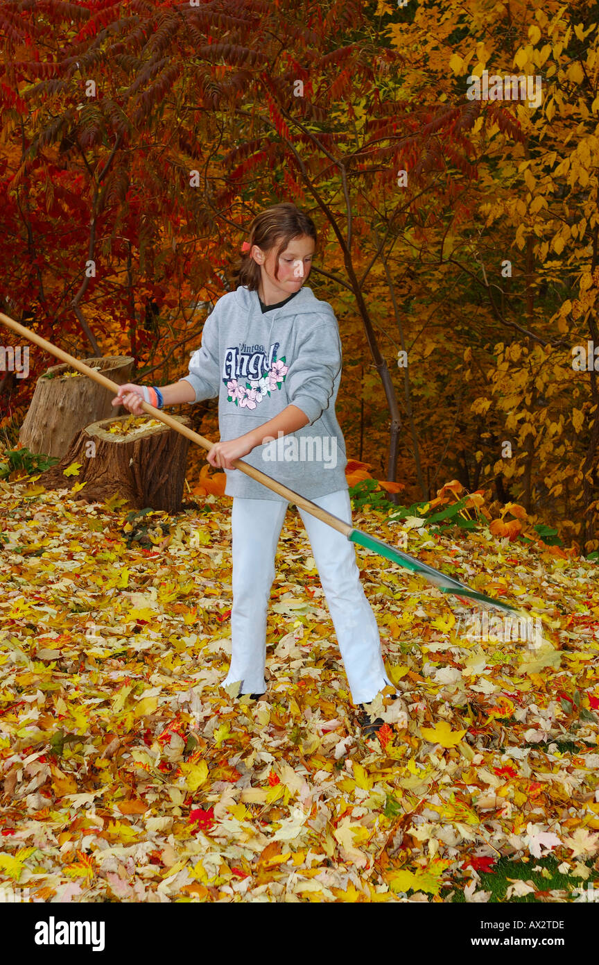 Young girl raking leaves in the Fall Toronto Stock Photo