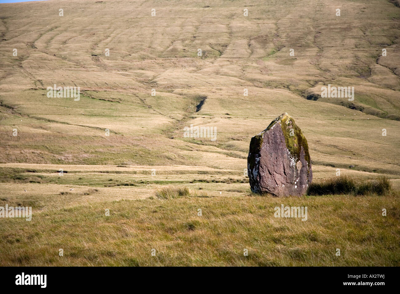 Maen Llia standing stone near Ystradfellte Powys Stock Photo