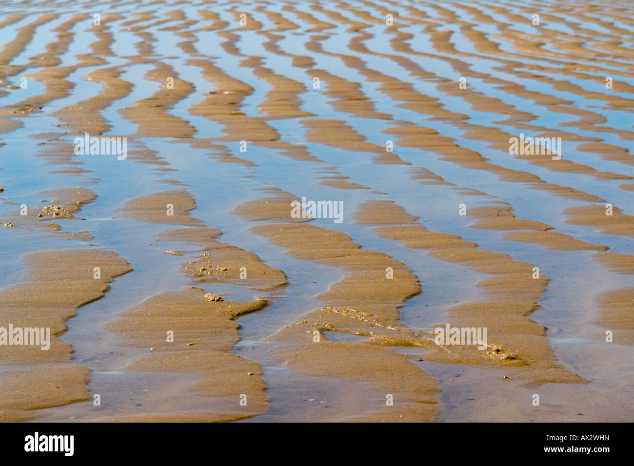 Textures on the beaches Stock Photo Alamy