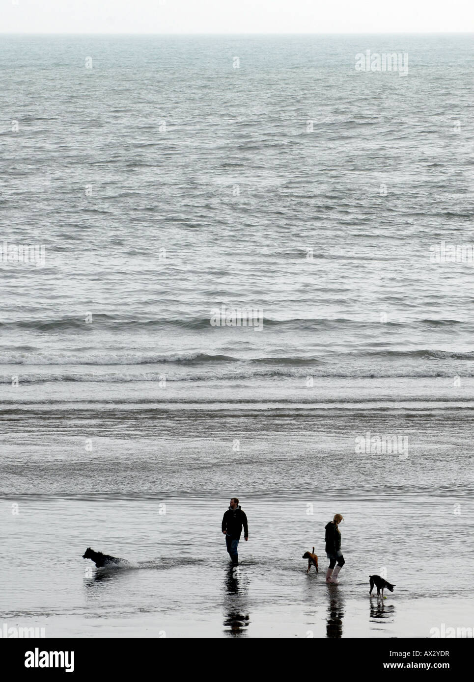 DOG WALKERS WALK IN THE SEA AT BIGBURY ON SEA,DEVON,ENGLAND.UK Stock Photo