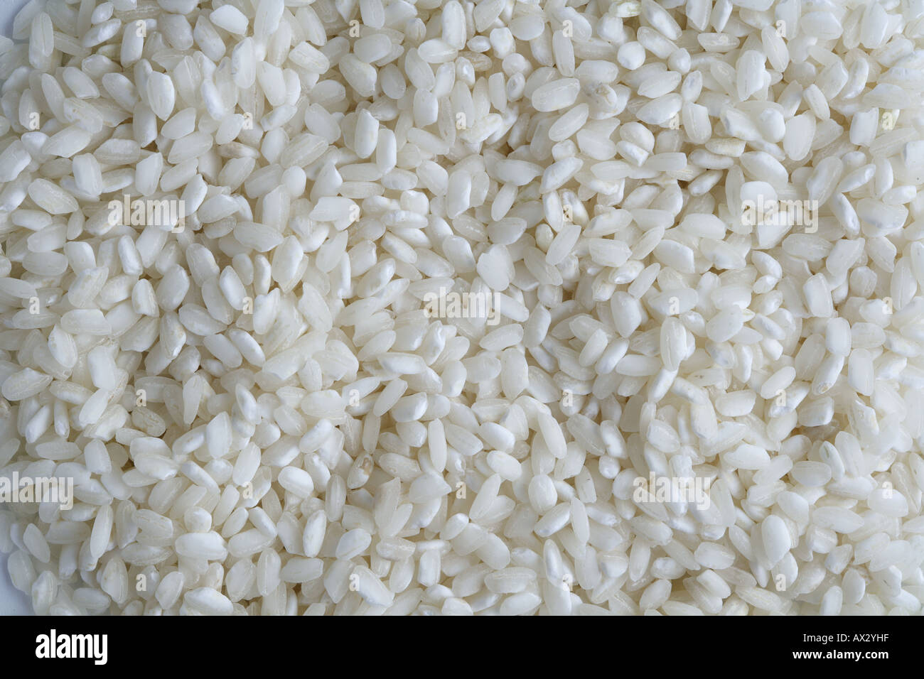 Arborio rices hi-res stock photography and images - Alamy