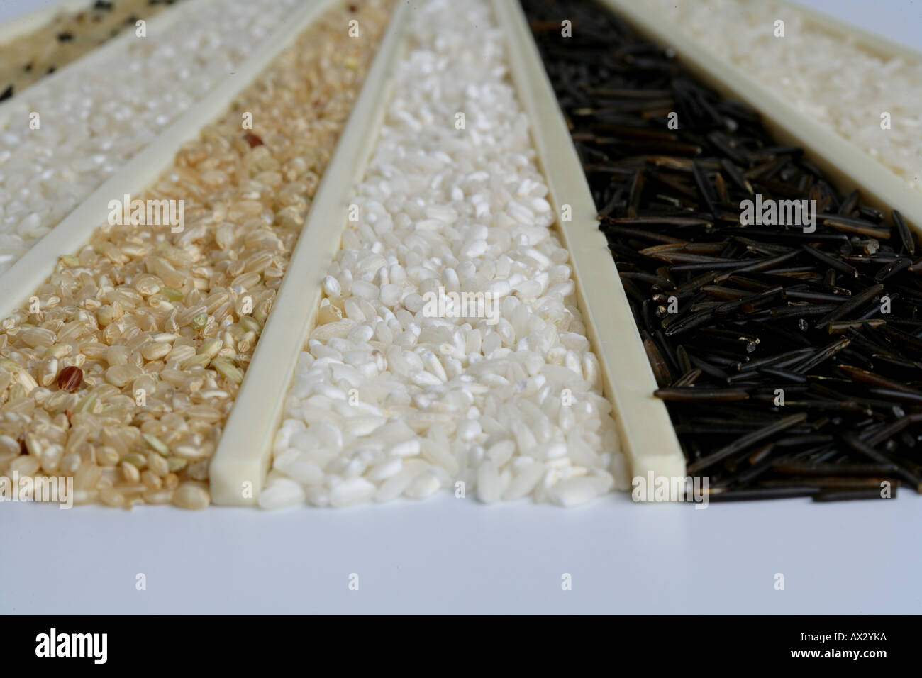 Sticks separing rices basmati wild arborio integral regular mix of