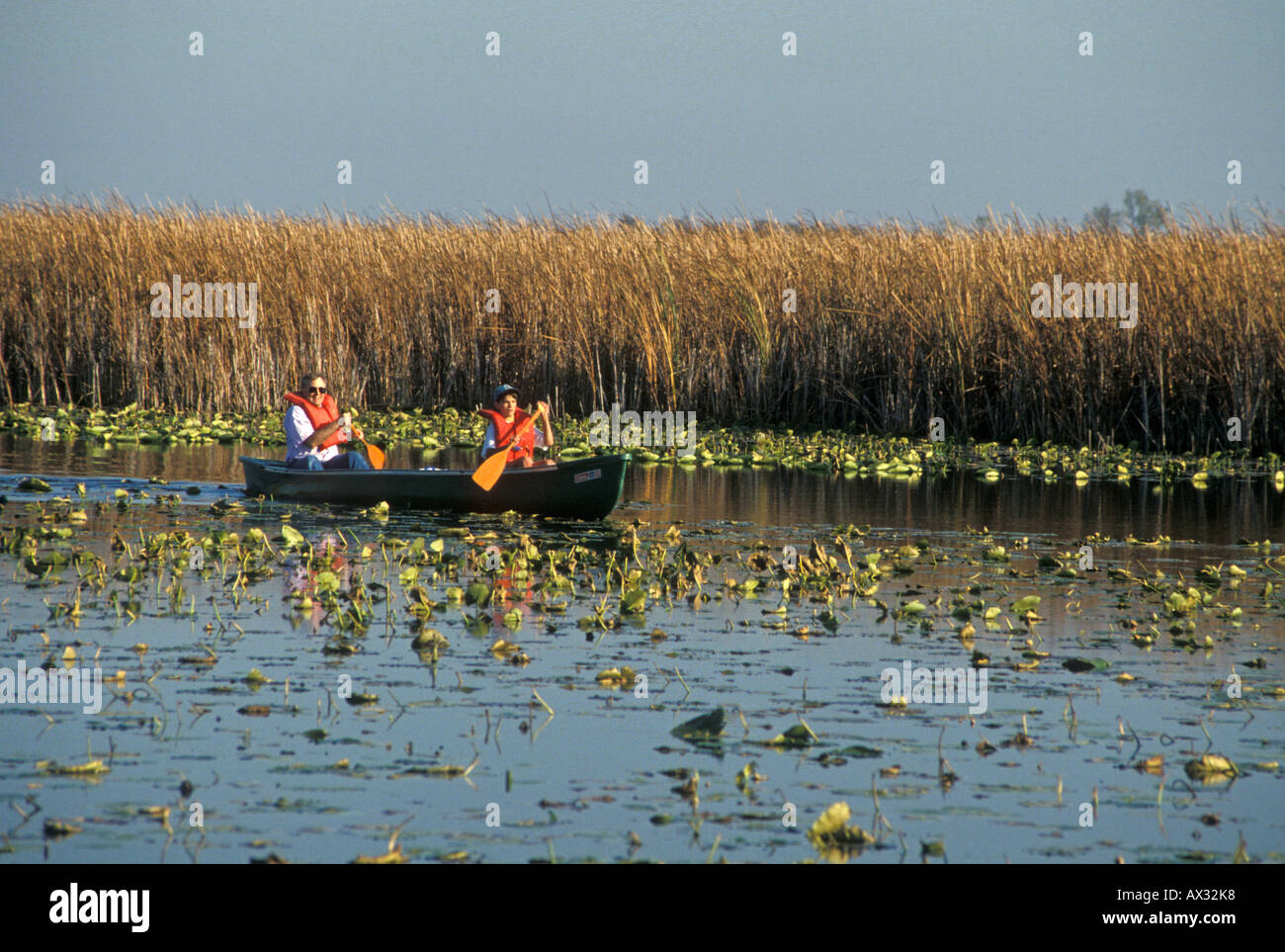 Point Pelee National Park Ontario Canada Visitors to Pt Pelee canoe