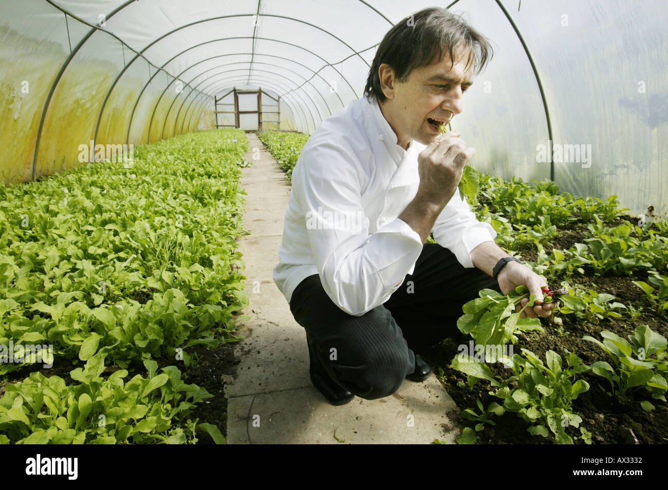 The chef Raymond Blanc in a greenhouse growing radishes in the grounds of the hotel and restaurant Le Manoir Aux Quat Saisons Stock Photo