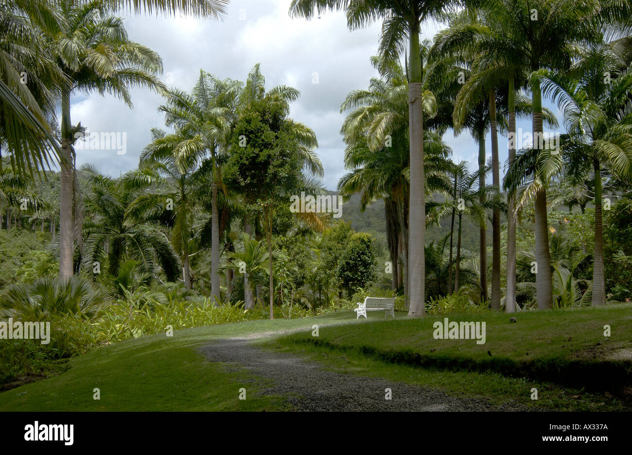 Flower Forest St Joseph Barbados West Indies Stock Photo Alamy