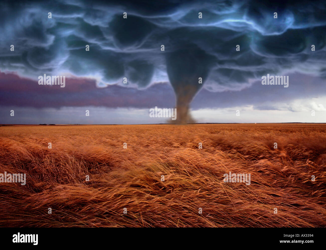 Kansas Wheat Field Twister Stock Photo