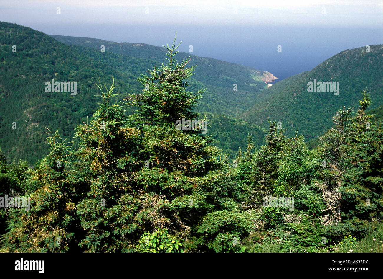 The Cape Breton Highlands Northern Nova Scotia Canada Stock Photo