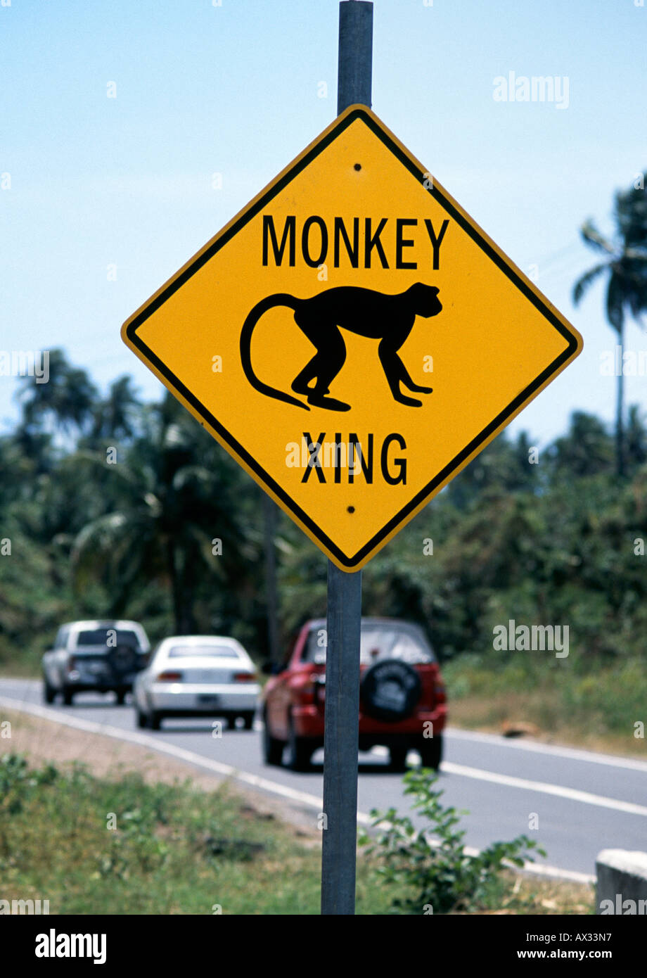 Monkey warning ! unusual road signs in Nevis Caribbean Stock Photo