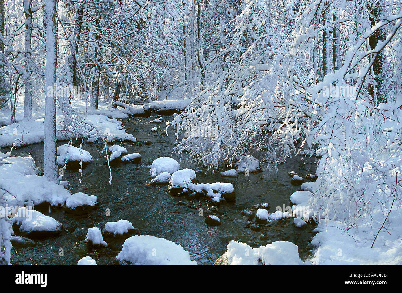 Fresh Snowfall Stream Morris County New Jersey Stock Photo