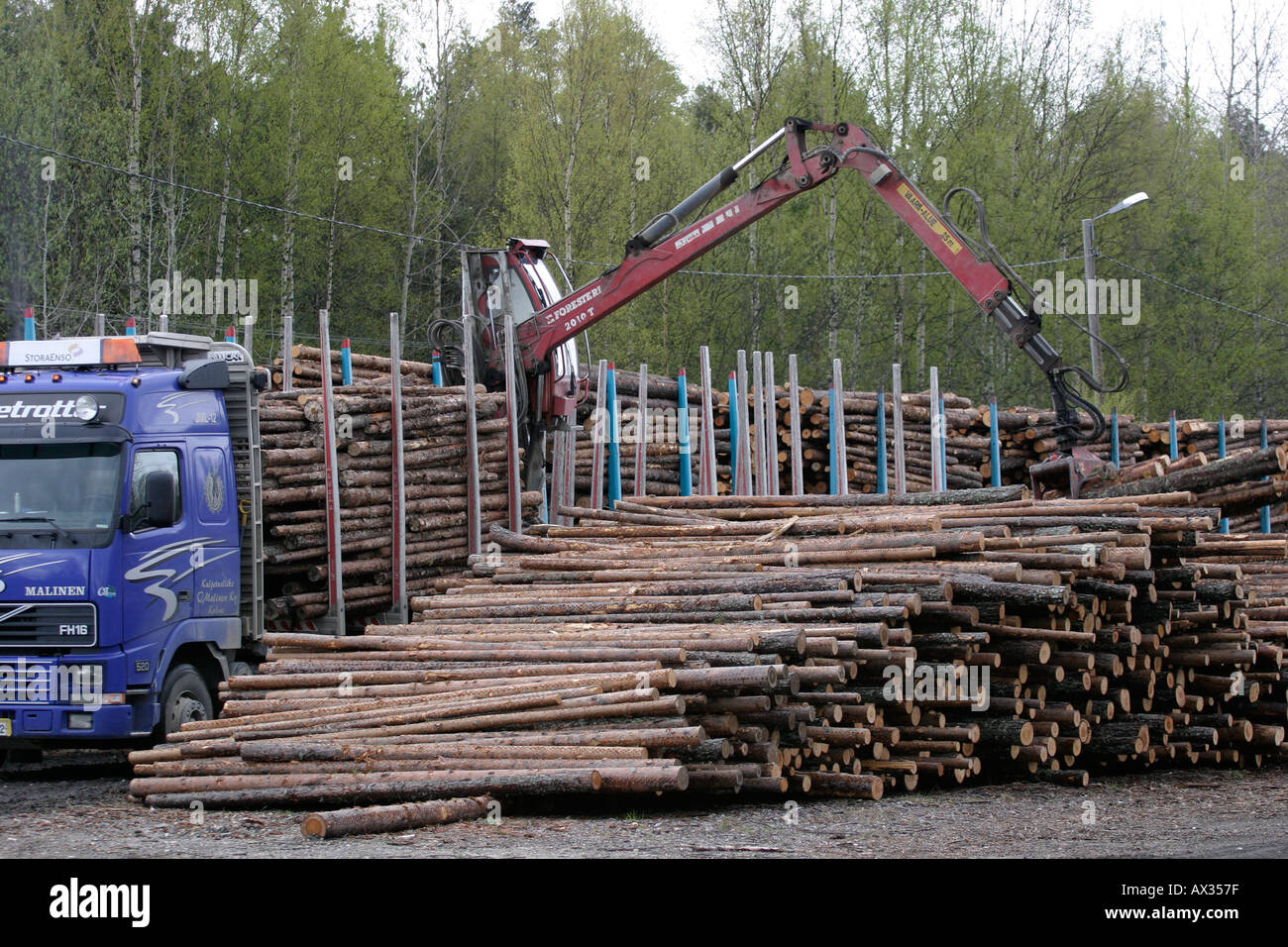 Timber loading in railroad box cars Stock Photo Alamy