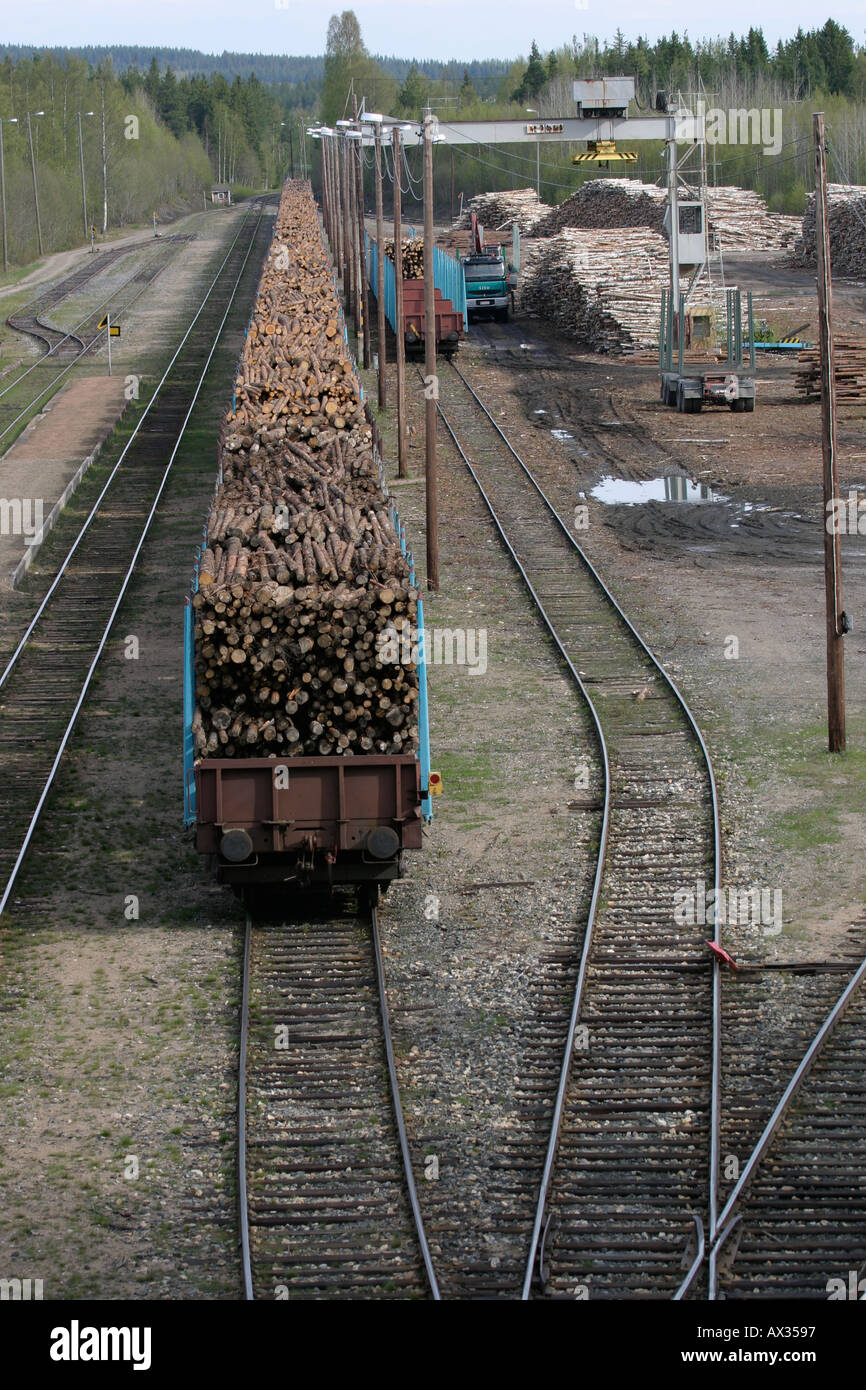 Timber loading in railroad box cars Stock Photo Alamy