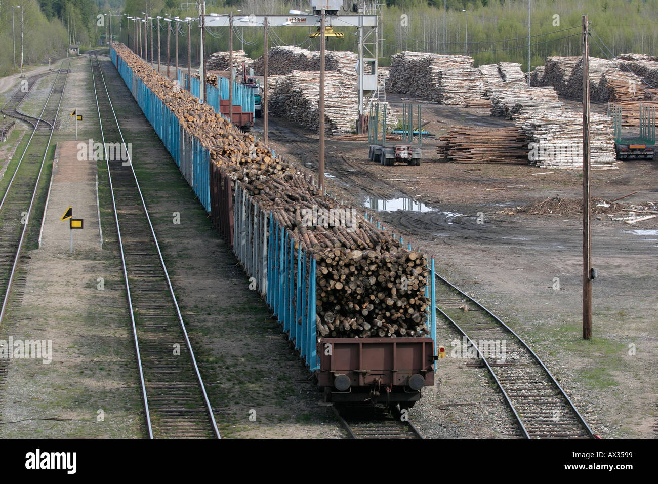 Timber loading in railroad box cars Stock Photo Alamy