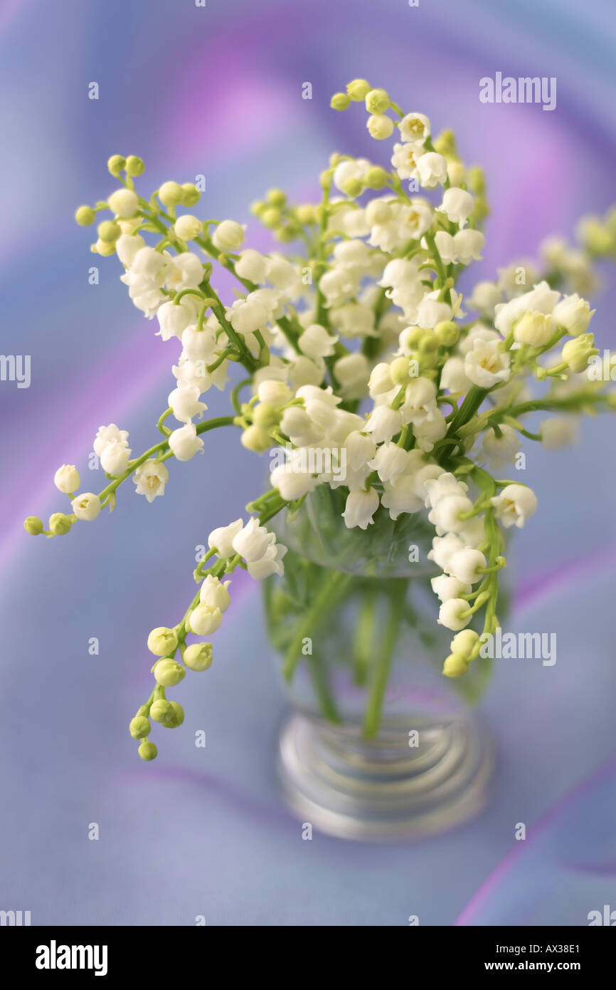 Lilly of the valley vase hi-res stock photography and images - Alamy