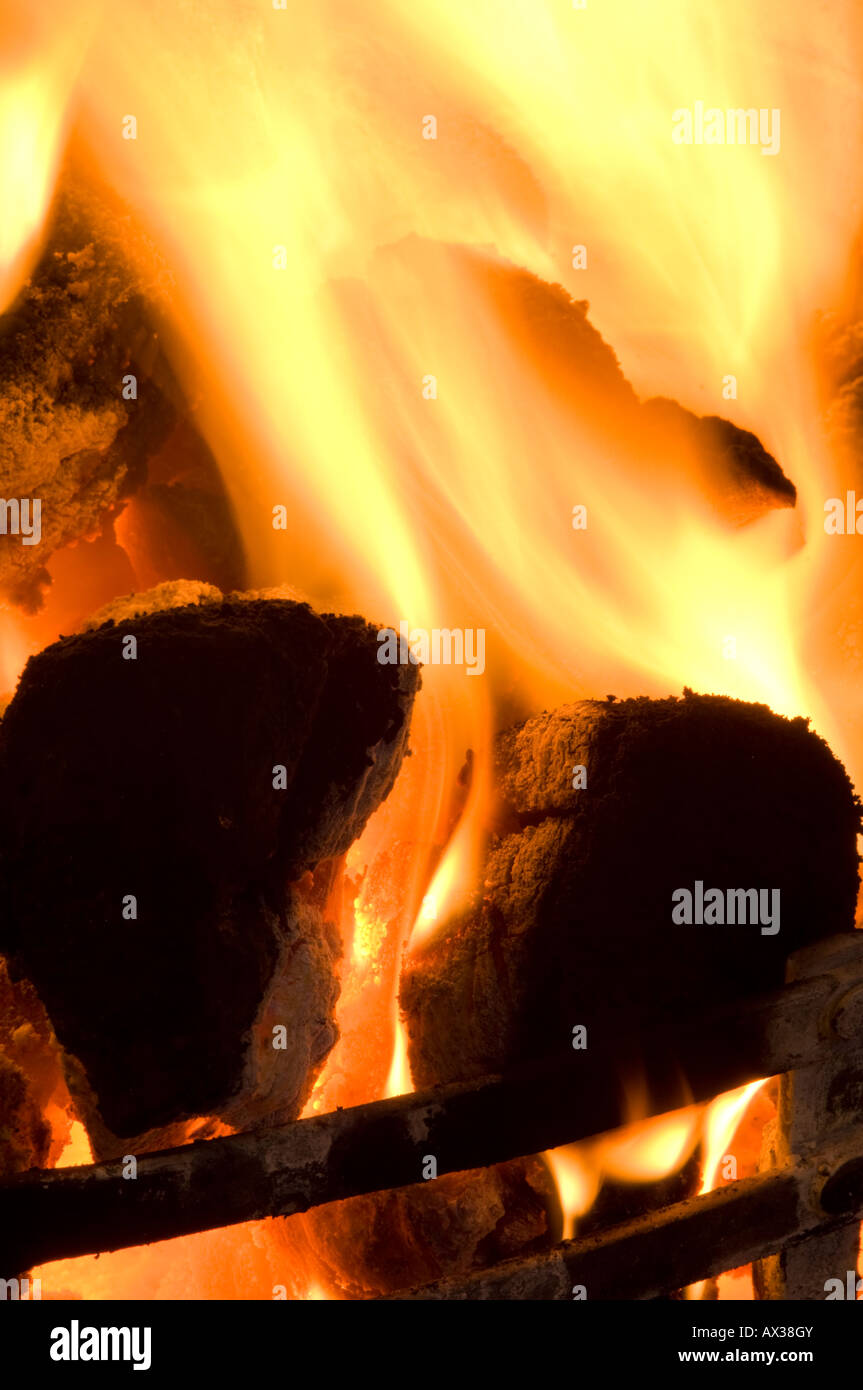 Coal fire burning in a hoiusehold hearth, Scotland. Stock Photo