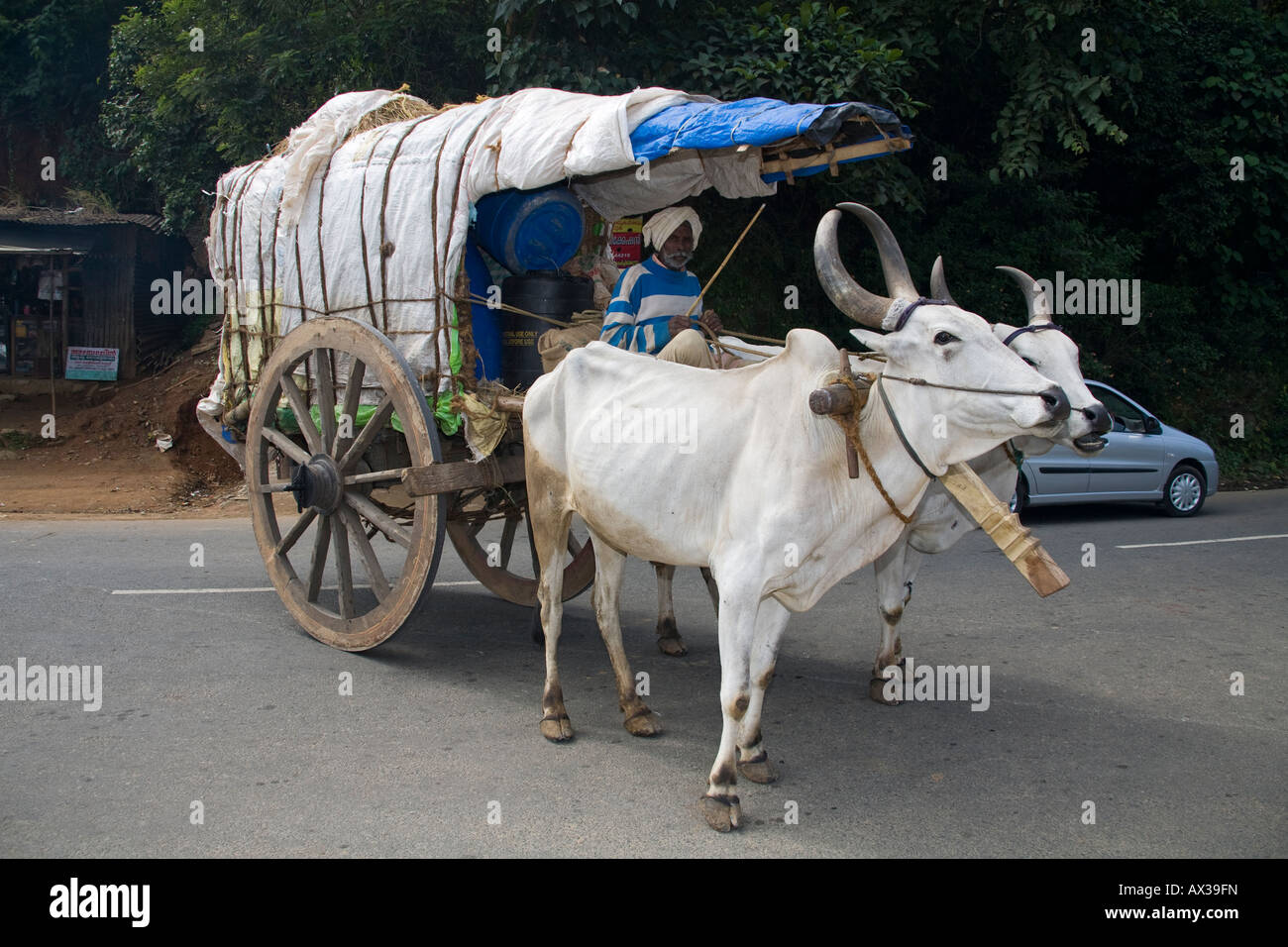Ox cart india hires stock photography and images Alamy