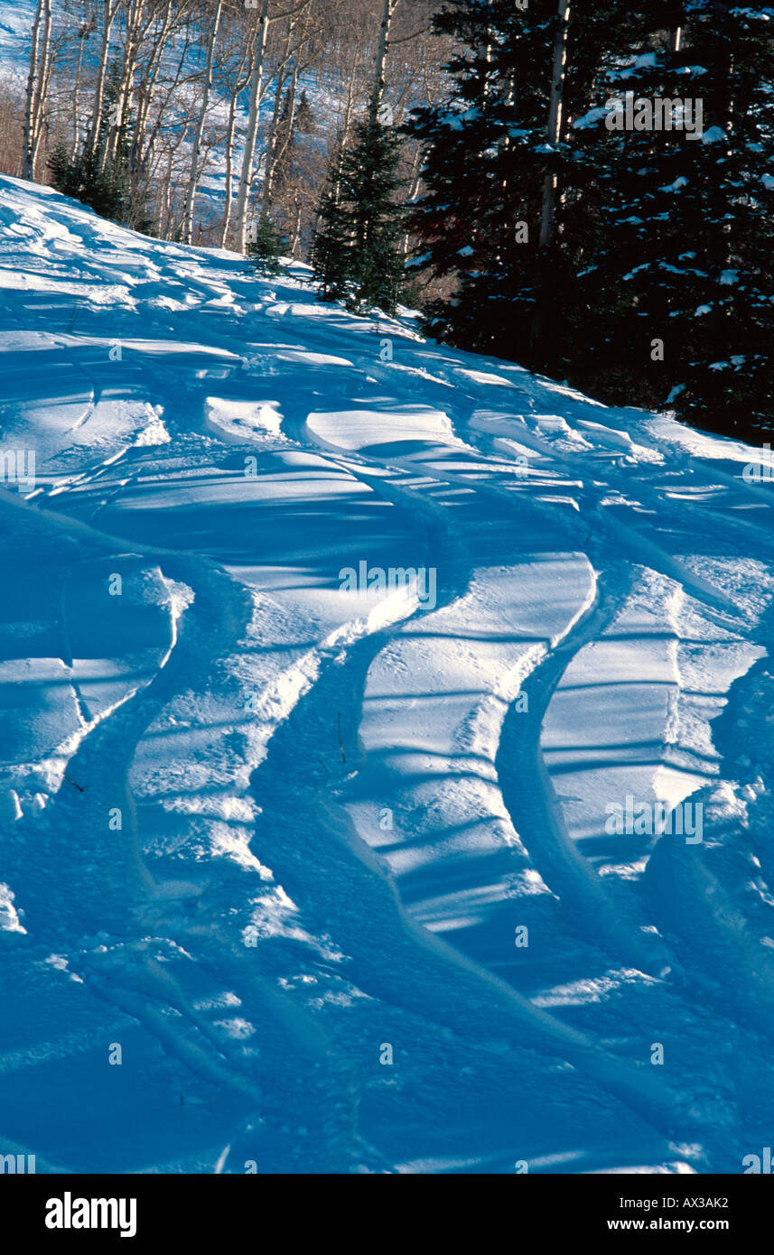 Powder snowboard hi-res stock photography and images - Alamy