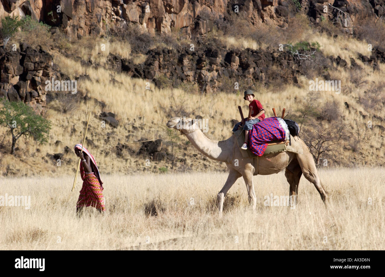 Camel Safari Kenya High Resolution Stock Photography and Images - Alamy