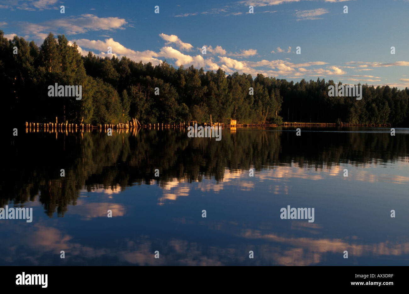 Reflections in a lake Angermanland Sweden Europe Stock Photo