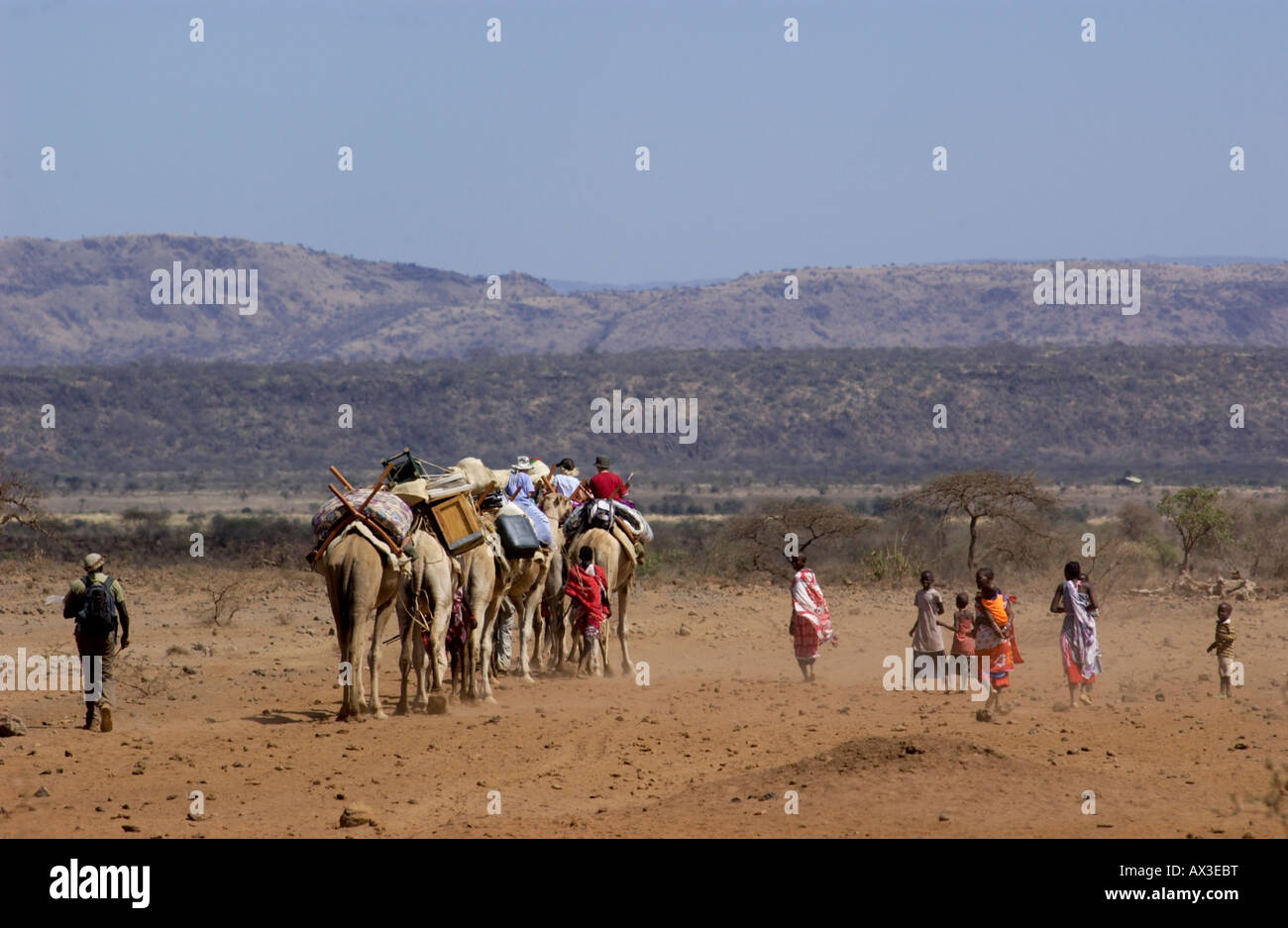 Safari travel hi-res stock photography and images - Alamy