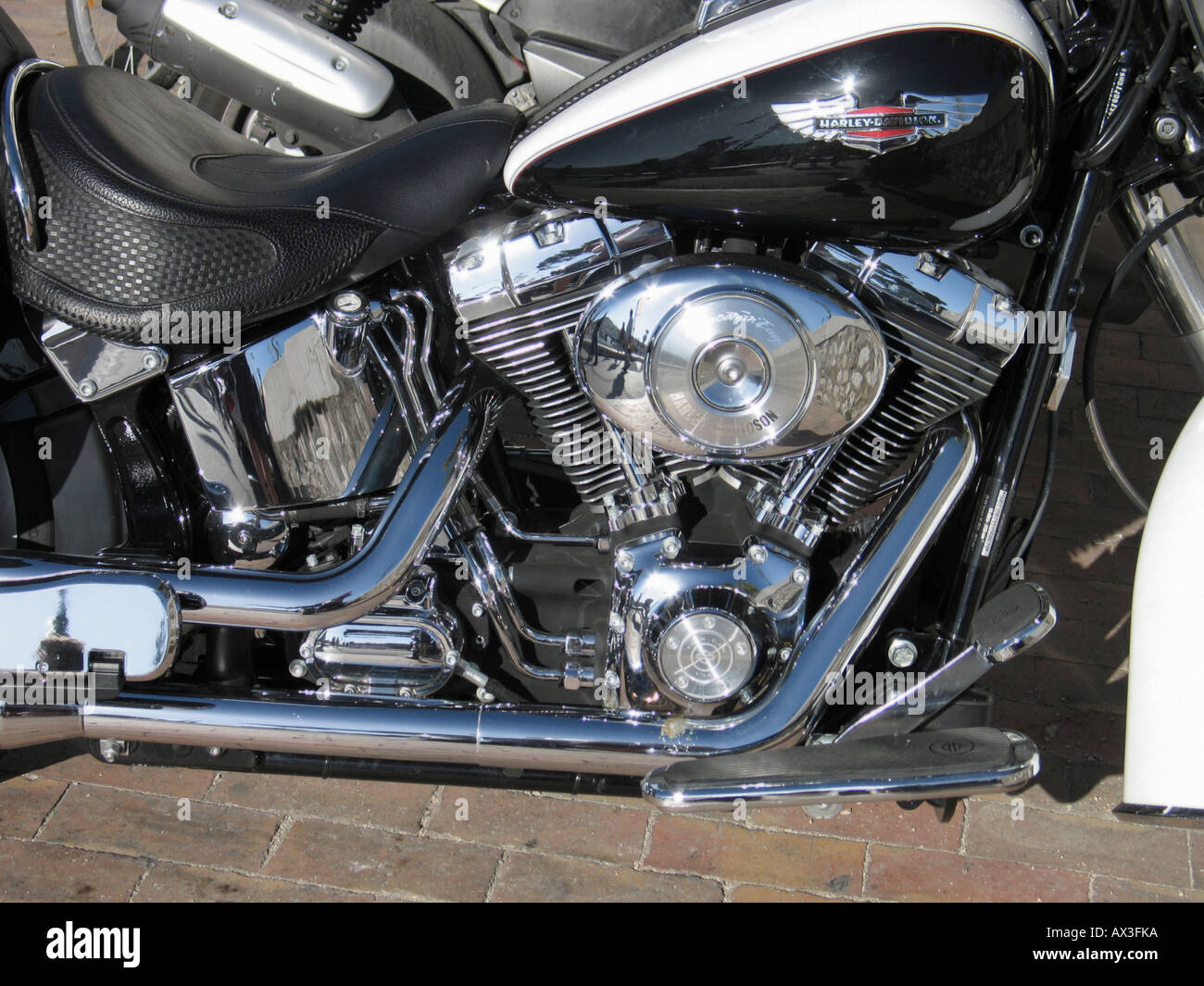 harley davidson close to me