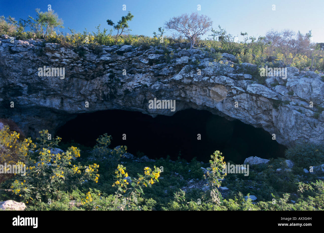 Bracken Cave world's largest bat colonie San Antonio Texas USA Stock Photo Alamy