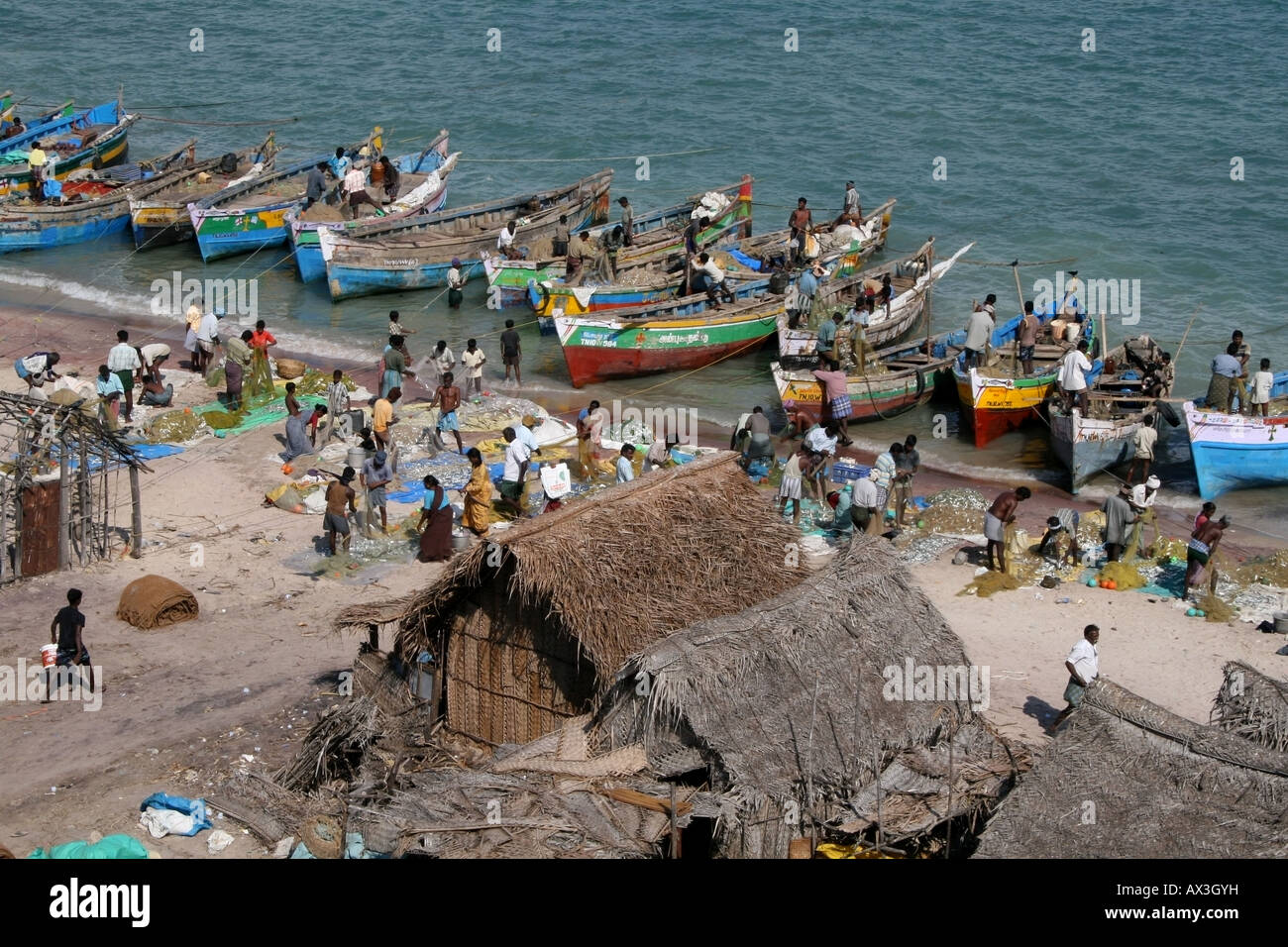 Fishing boats and fishermen arrive at shore to dry fish , Tamil Nadu