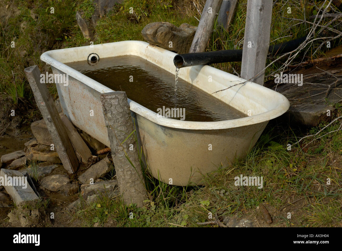 bathing tub used as a watering- place for cows. (c) by uli nusko, ch-3012 bern. Stock Photo