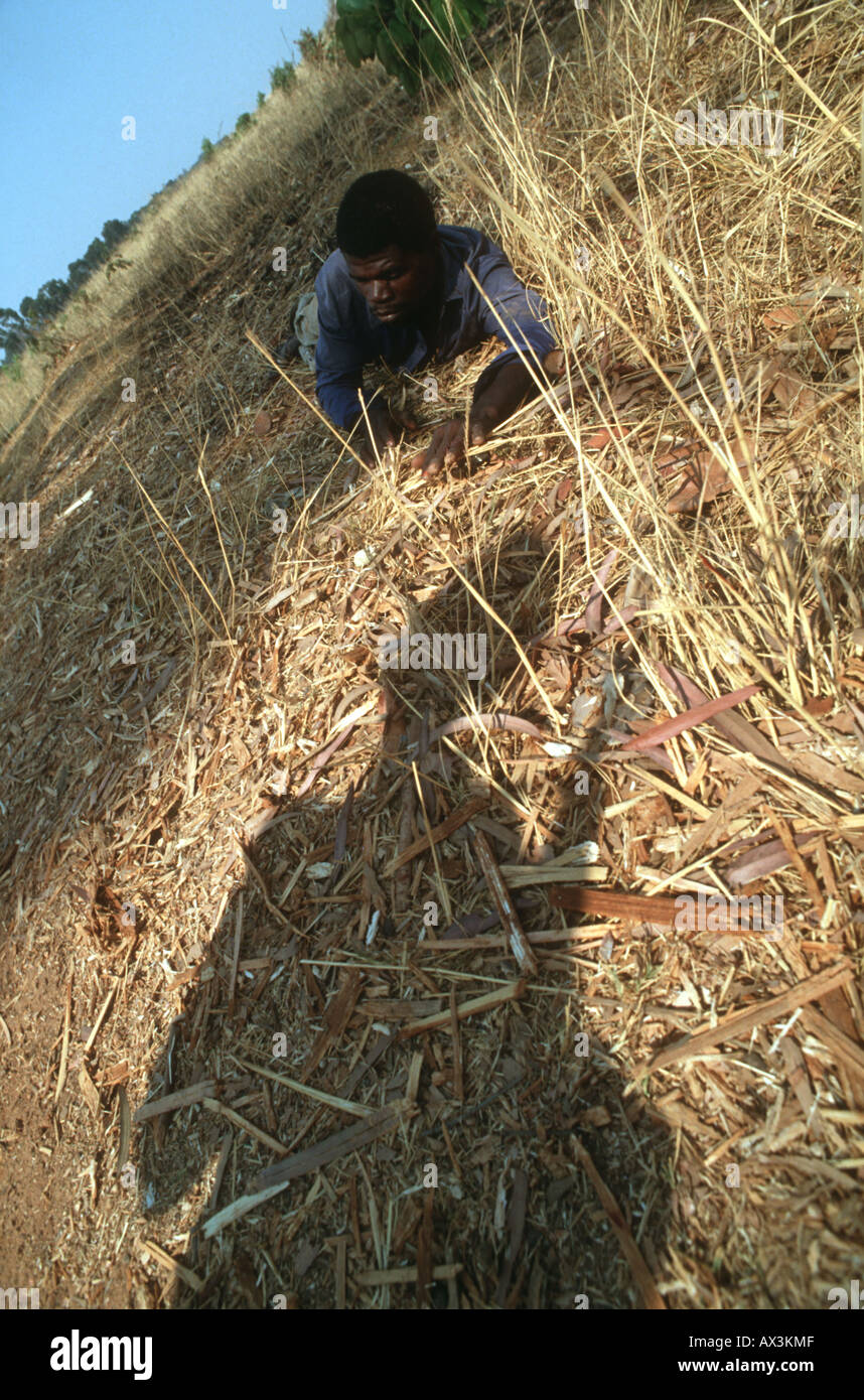 Angola angolan soldiers hi-res stock photography and images - Alamy