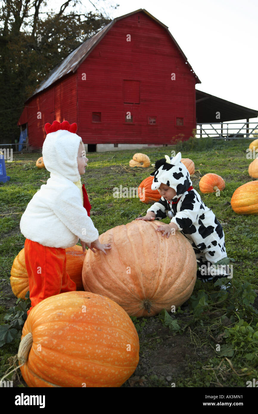 Young kids in Chicken and Cow costumes on farm. Stock Photo
