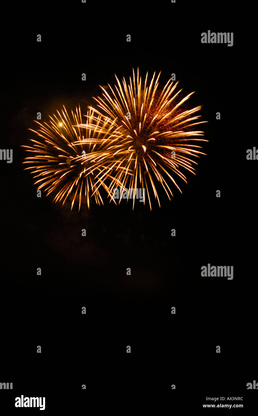 Firework burst against a black sky Stock Photo