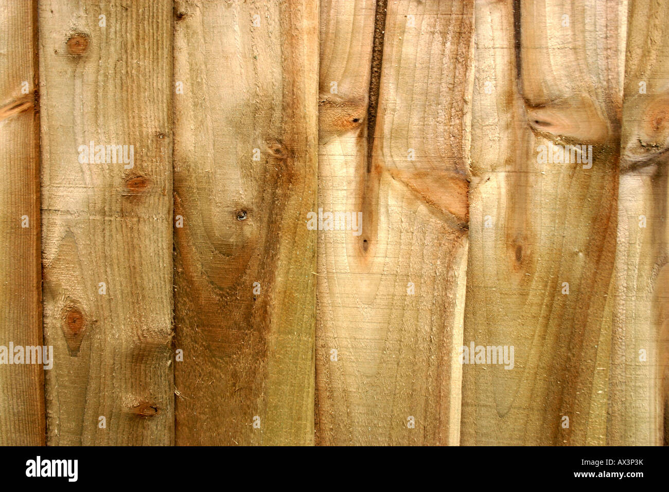 close up of wood grain Stock Photo - Alamy