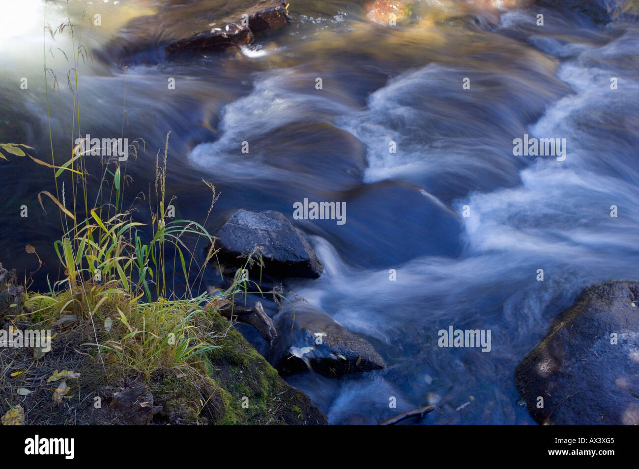 Mountain stream blur in Colorado USA Stock Photo