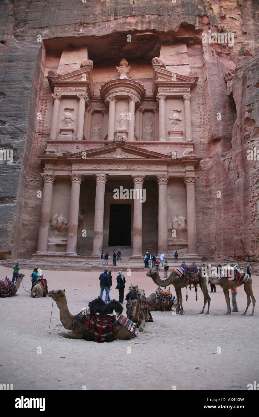 Camels outside the Treasury building in Petra an ancient city in the southwest of Jordan hewn from towering walls of rock Some B Stock Photo