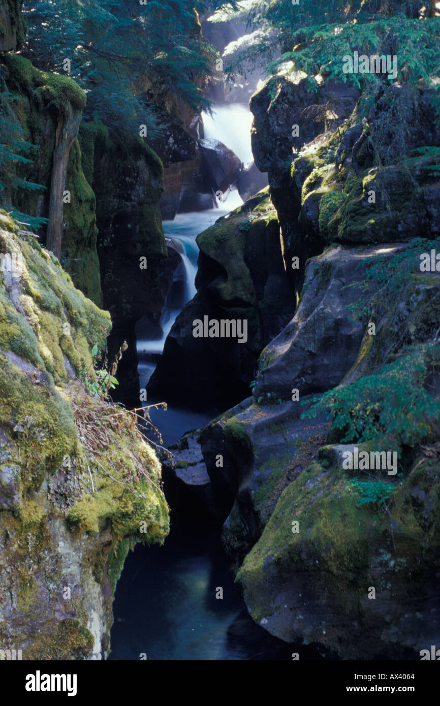 Avalanche Creek Gorge Glacier National Park Montana Stock Photo Alamy Avalanche Creek Gorge Glacier National Park Montana Stock Photo Alamy