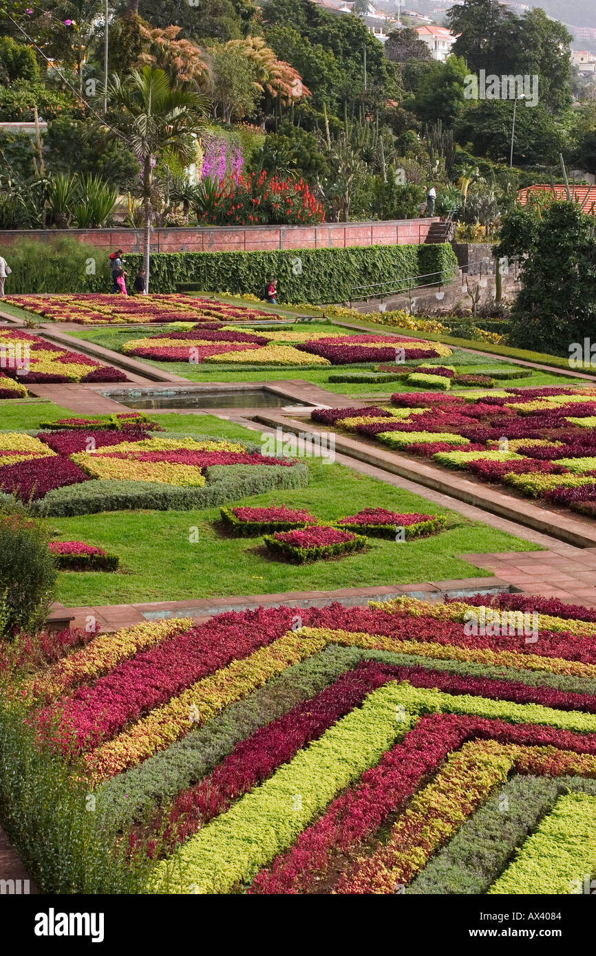 Botanical Garden in Funchal Madeira Stock Photo Alamy