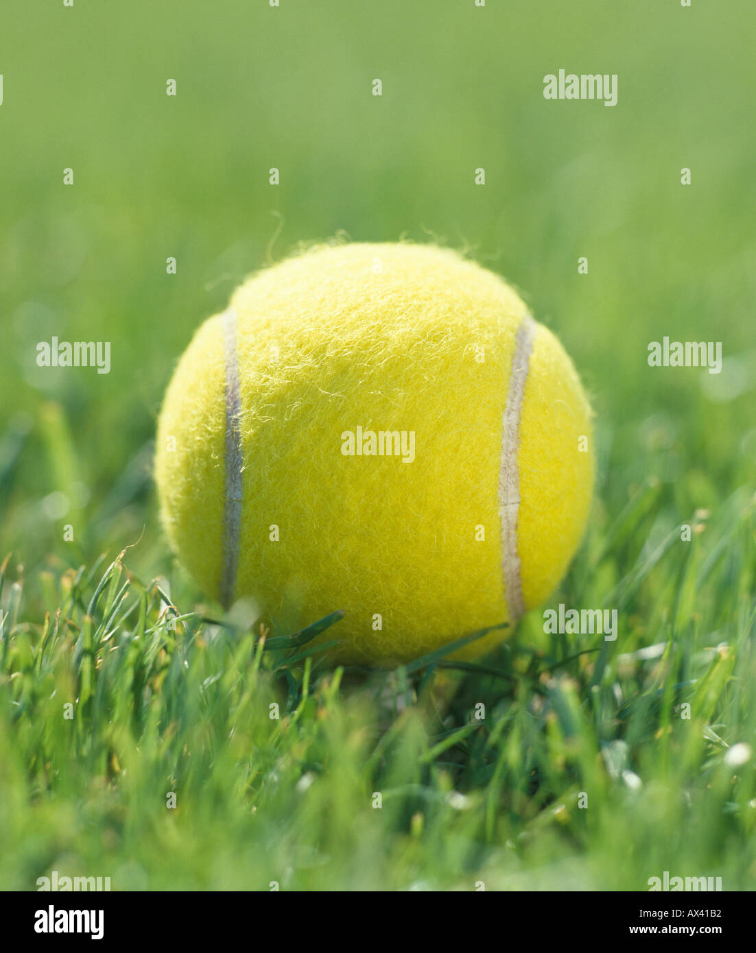 tennis ball on grass Stock Photo Alamy