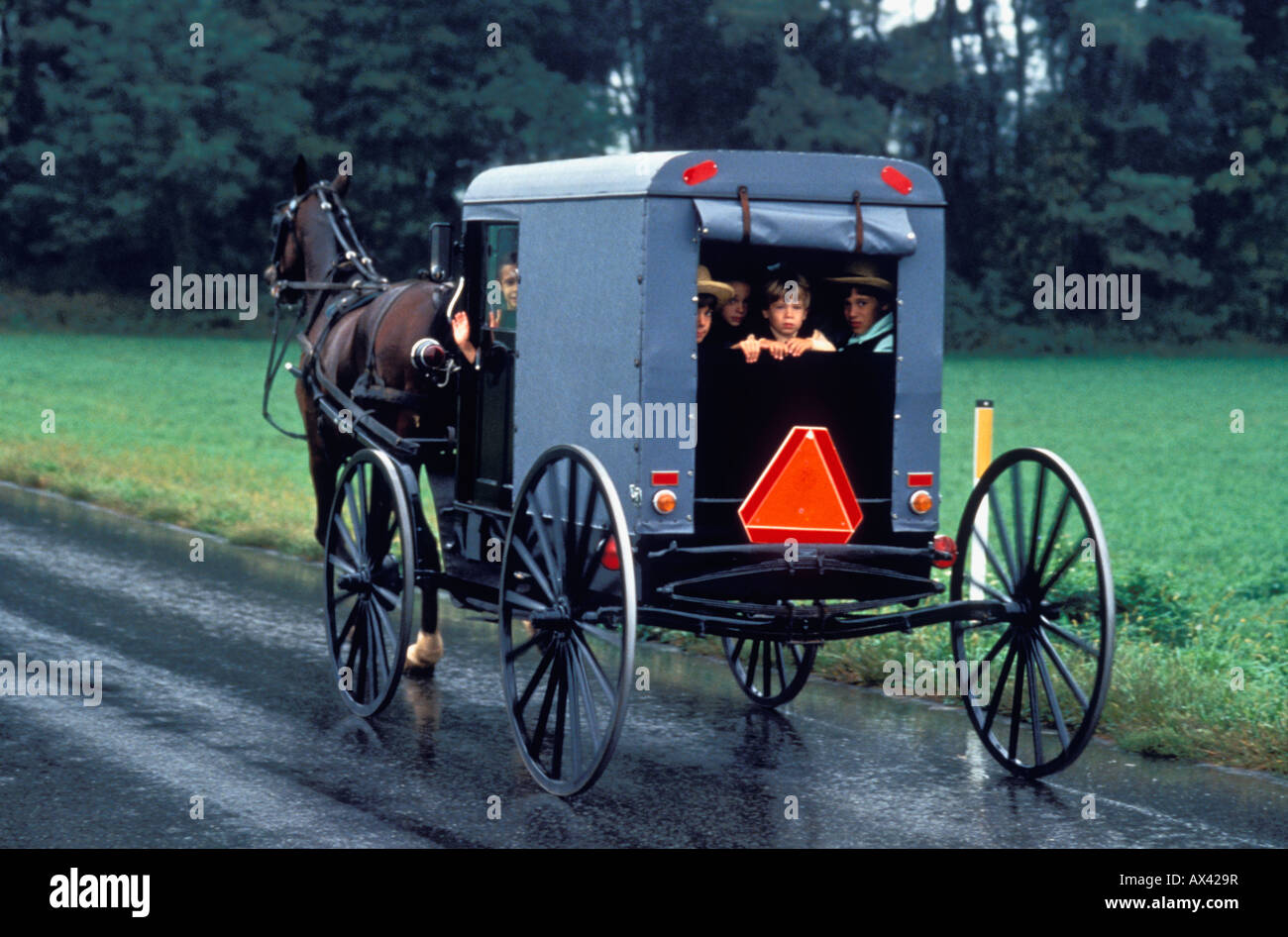 Amish Children Peering out the back of a Amish Buggy as it Travels down the Road Lancaster County Pennsylvania Stock Photo