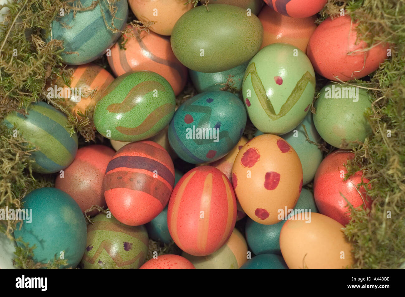 Bunte Ostereier im Moos coloured Easter eggs in the moss Stock Photo