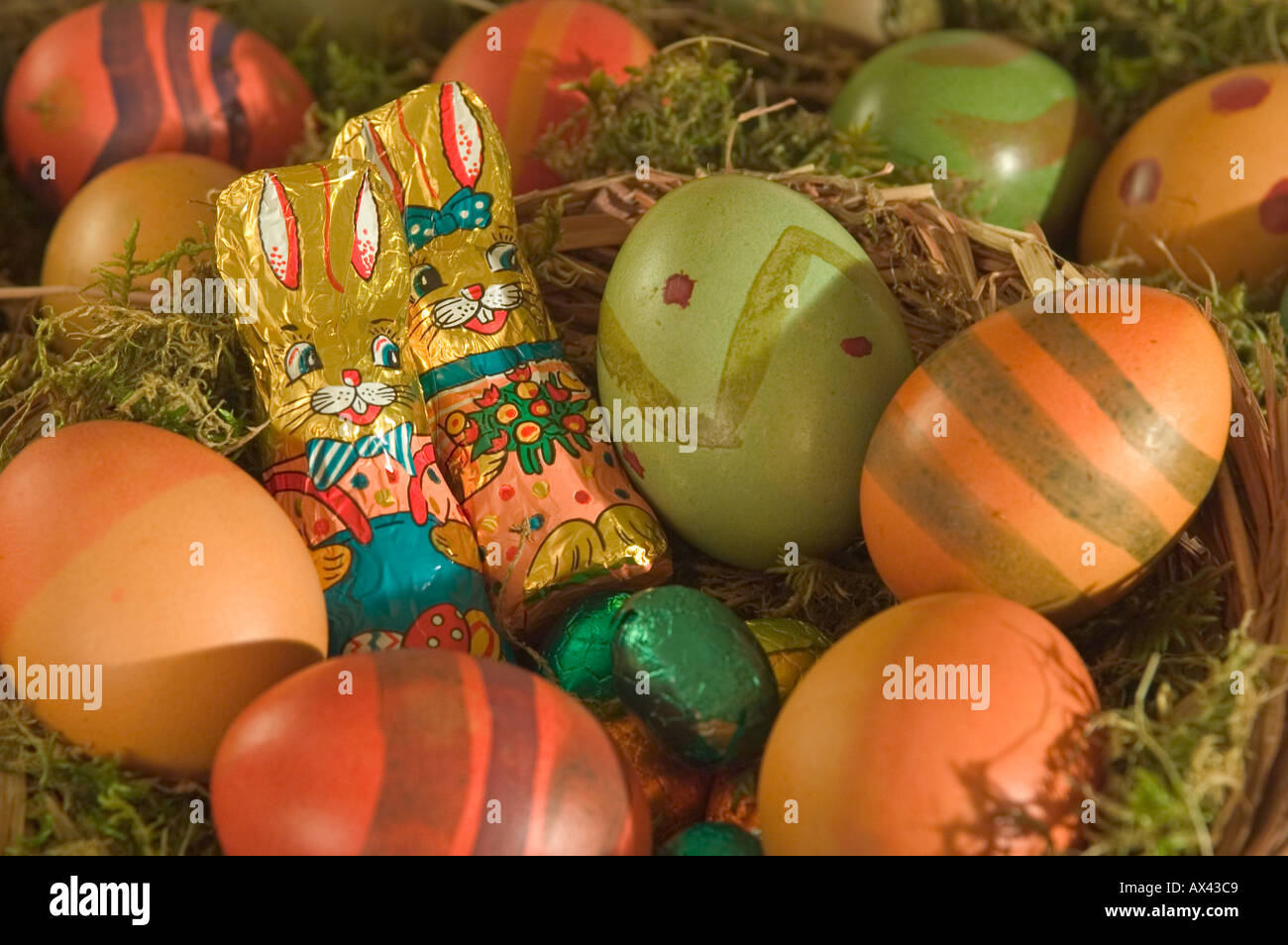 Bunte Ostereier im Osternest mit Osterhasen coloured easter eggs in the nest with easter bunny