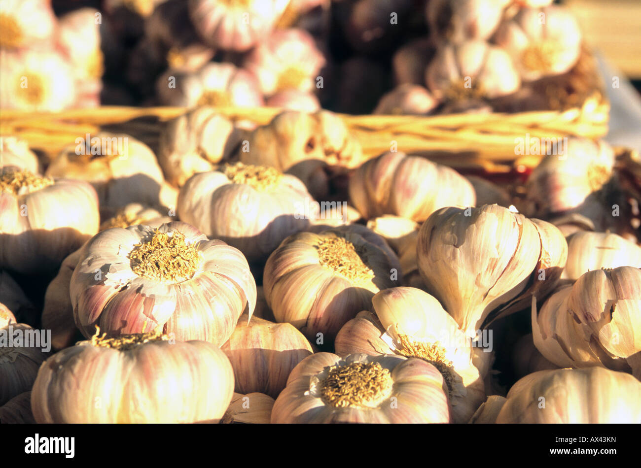 Garlic Provence market Stock Photo