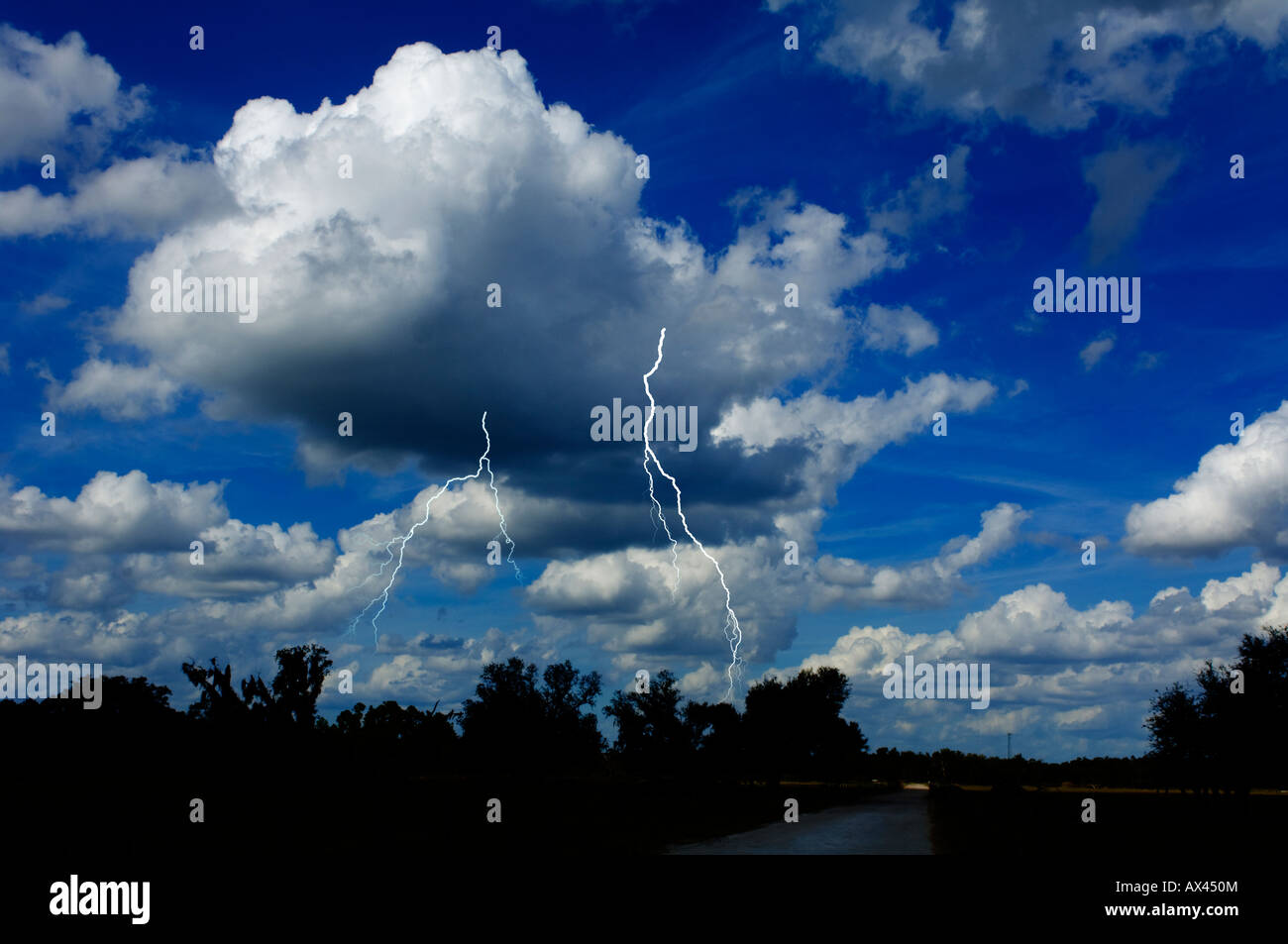Lightning bolt in Florida USA on a clear day Stock Photo Alamy