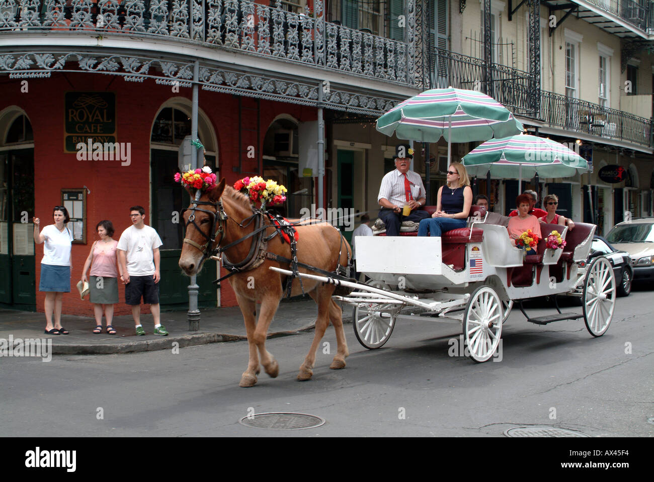 horse carriage ride new orleans